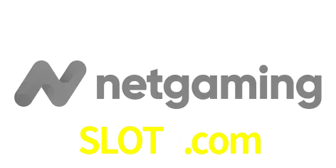 NetGaming